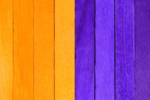 Fevereiro Roxo e Laranja: Como o CBD pode auxiliar no tratamento de doenças neurodegenerativas e oncológicas