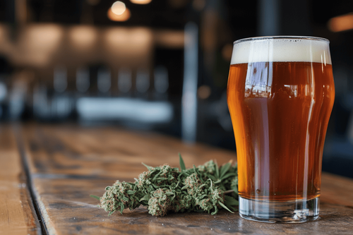 Descubra como a cerveja de cannabis é feita e quais são seus efeitos