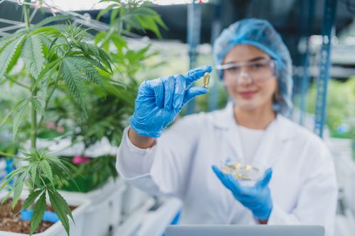Canabidiol pelo SUS: Como Solicitar CBD Gratuito [2026]