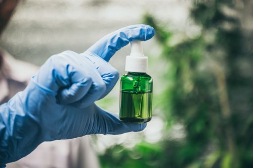 Anvisa abre nova consulta pública sobre cannabis medicinal: o que está em discussão?
