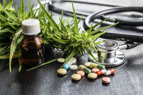Cannabis x Opioides: Comparação de eficácia, segurança e riscos no tratamento da dor