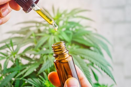 Dose de CBD: Como Escolher Produto e Dosagem Ideal