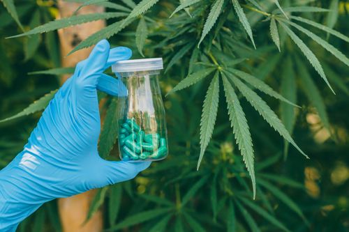 Uso terapêutico do canabidiol (CBD) no tratamento da dependência química: Benefícios e evidências científicas