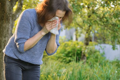 CBD e Alergia: Como o Canabidiol pode ajudar no controle dos sintomas alérgicos