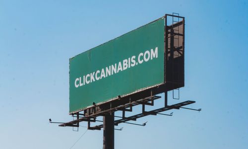 Click Cannabis nas ruas e na mídia: Como nossas campanhas estão quebrando tabus sobre a Cannabis Medicinal