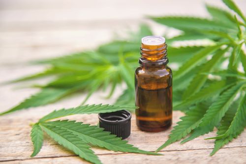 Cannabis medicinal e dor neuropática diabética: alívio da dor e qualidade de vida