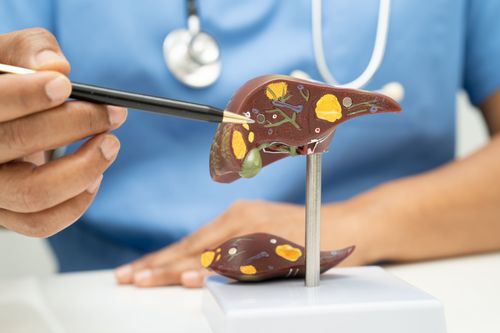 Hepatites virais e CBD: potencial terapêutico da cannabis para o fígado