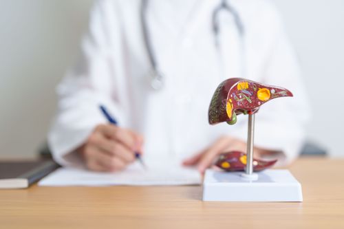 Canabidiol Faz Mal para o Fígado? Efeitos e Segurança