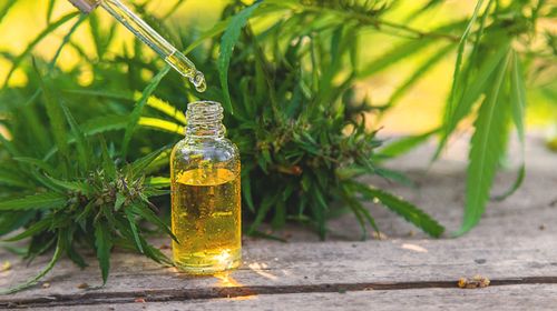 Neurobiologia dos Transtornos Alimentares: A influência do Sistema Endocanabinoide e do Canabidiol (CBD)