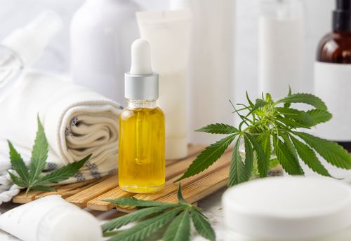 Como o CBD atua no organismo e promove equilíbrio natural no corpo