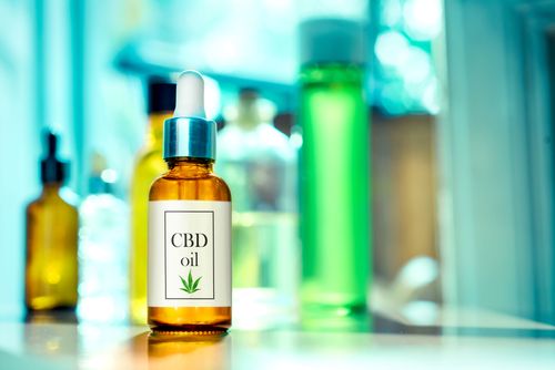 Cannabis e Sistema Imunológico: o que a ciência já descobriu