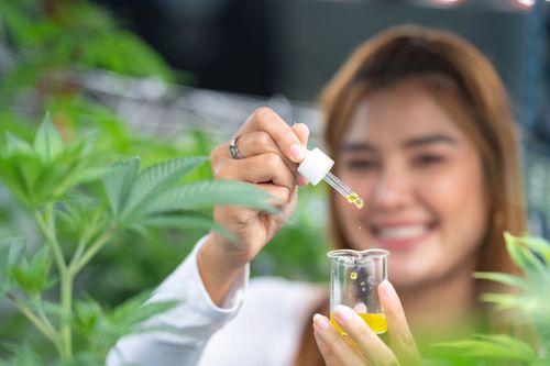Anvisa aprova novo produto farmacêutico à base de cannabis no Brasil