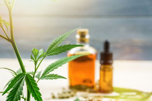 Cannabis Medicinal e Depressão Resistente ao tratamento: Evidências do UK Medical Cannabis Registry