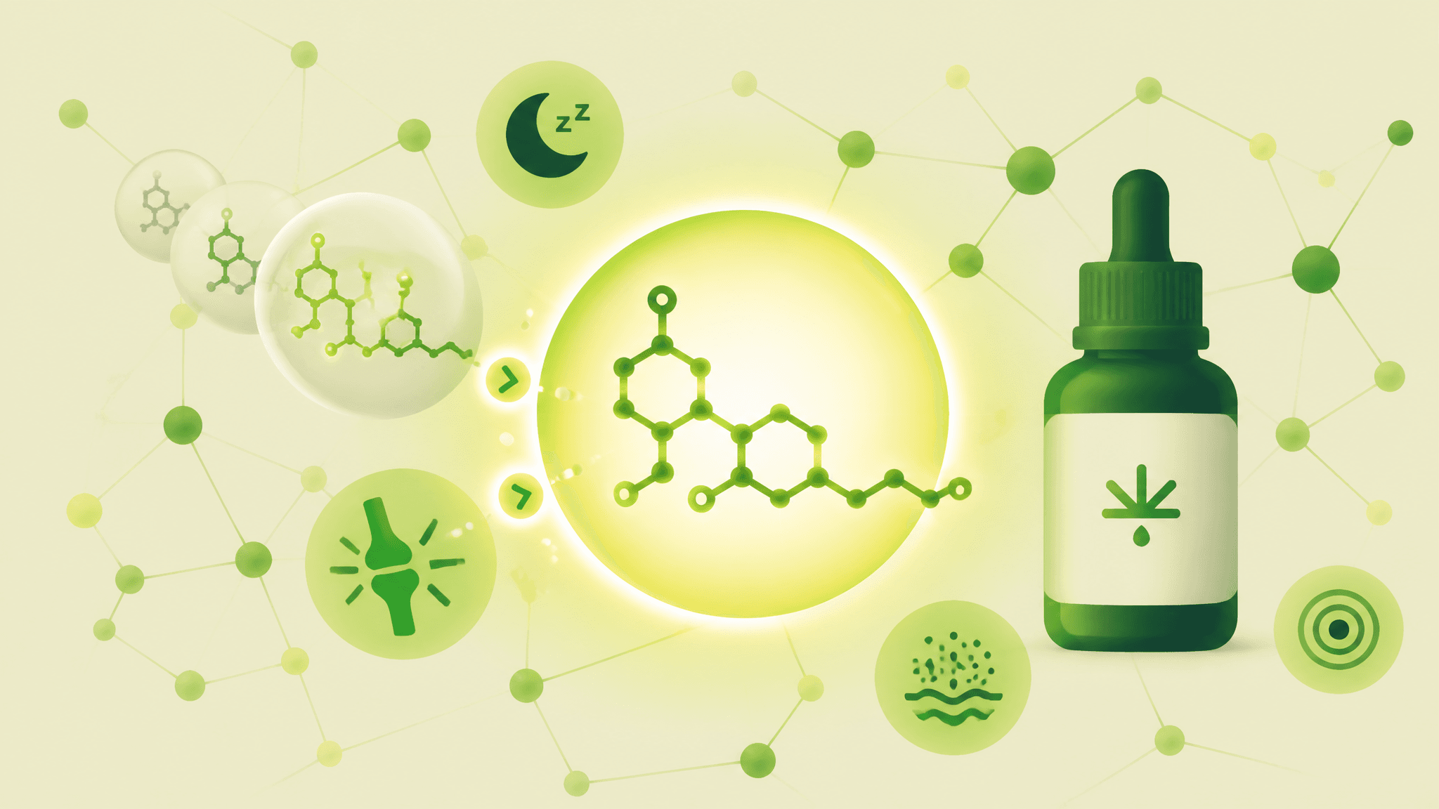 Proporção CBD:THC: o que significa 1:1, 10:1 e 20:1 nos óleos de