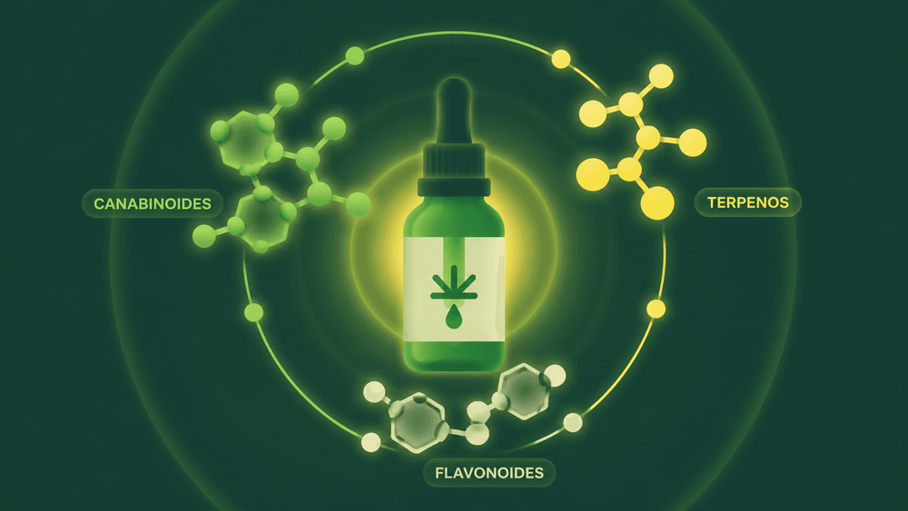 Efeito entourage: entenda a ação conjunta dos compostos da cannabis medicinal