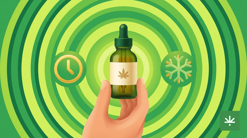 Validade do Óleo de CBD: Quanto Tempo Dura e Como Conservar