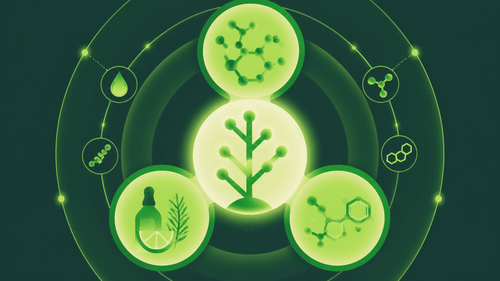 Composição Química da Cannabis: Os 565 Compostos Naturais e Seus Benefícios