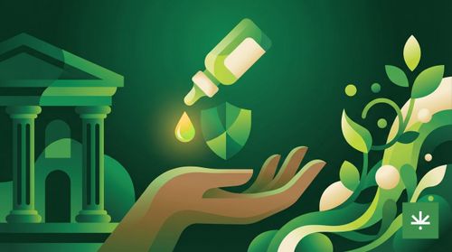 Acesso à Cannabis Medicinal: Seu Direito à Saúde na Justiça