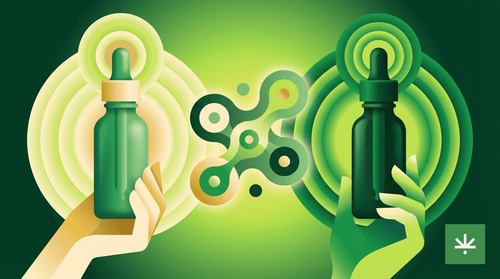 Óleo de CBD com THC ou sem THC: qual a diferença e qual escolher?