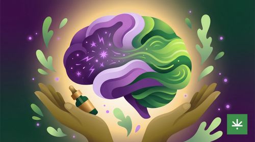 Março Roxo 2026: Epilepsia, Conscientização e o Papel do CBD