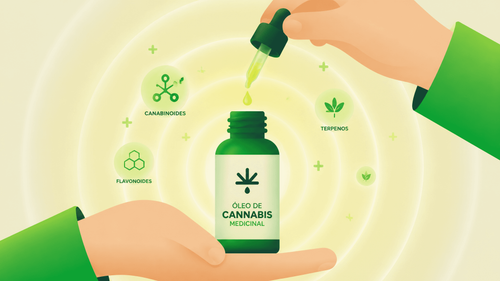 Óleo de Cannabis: Benefícios, métodos de extração e usos medicinais