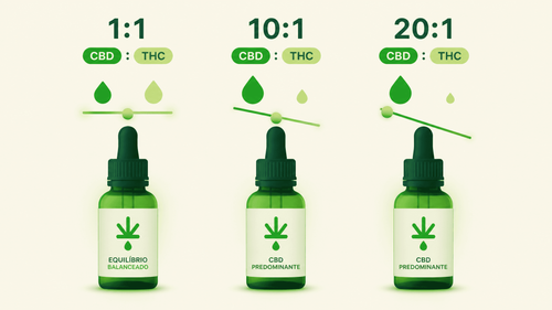 Proporção CBD:THC: o que significa 1:1, 10:1 e 20:1 nos óleos de cannabis?