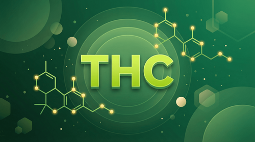THC: O Que É, Como Age e Para Que Serve