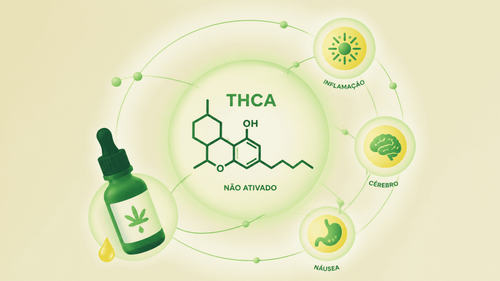 THCA: aplicações terapêuticas em estudo e diferenças em relação ao THC